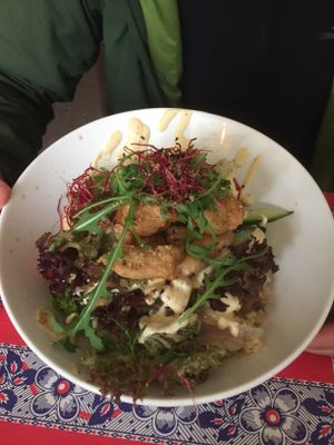 Karage donburi at TerraZen Centre in Amsterdam