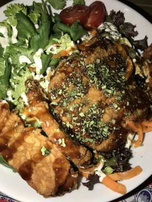 Delicious donkatsu dish. Tasted very authentic with a ton of asian flavors  at TerraZen Centre in Amsterdam