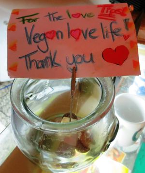 Vegan helping with coins... at TerraZen Centre in Amsterdam