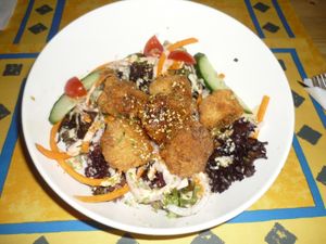 Karage Donburi at TerraZen Centre in Amsterdam