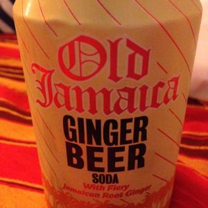 Drink at TerraZen Centre in Amsterdam