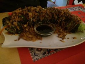 Dragon Roll at TerraZen Centre in Amsterdam