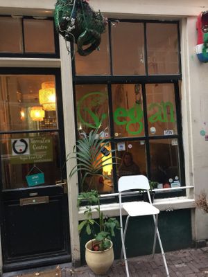 Outside at TerraZen Centre in Amsterdam