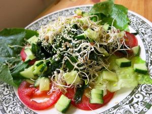 Seaweed Salad at TerraZen Centre in Amsterdam