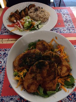 Gyoza plate and Rice bowl with marinated tempeh 😍 at TerraZen Centre in Amsterdam