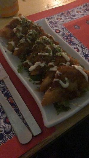 Gyoza’s   at TerraZen Centre in Amsterdam