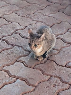 Friends at Ethos Conscious Food in Nairobi