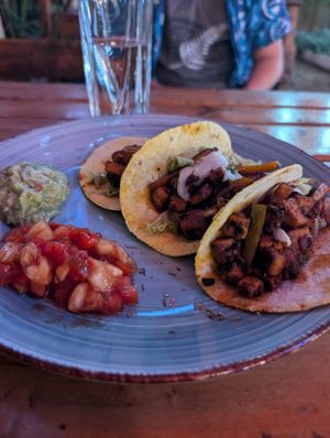 More vegan tacos from the place next door at Ethos Conscious Food in Nairobi