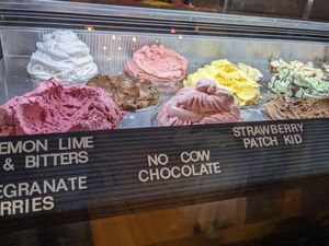  at Rollickin Gelato Cafe in Christchurch