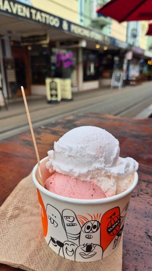  at Rollickin Gelato Cafe in Christchurch