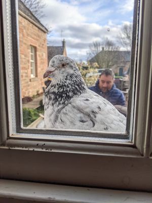  at Tyninghame Smithy in Tyninghame