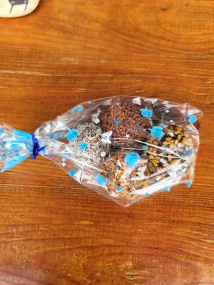 Tiny date balls at Tamouziga Bio - Chez Memere in Essaouira