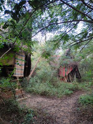 Some of the beautiful private huts in the forest! at Sadhana Forest Seva Kitchen in Auroville