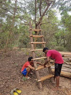 Building a new ladder for the huts! at Sadhana Forest Seva Kitchen in Auroville