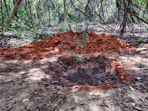 May there be more forests to grow more people! at Sadhana Forest Seva Kitchen in Auroville