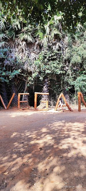  at Sadhana Forest Seva Kitchen in Auroville