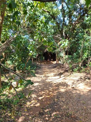  at Sadhana Forest Seva Kitchen in Auroville