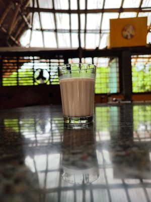  at Sadhana Forest Seva Kitchen in Auroville