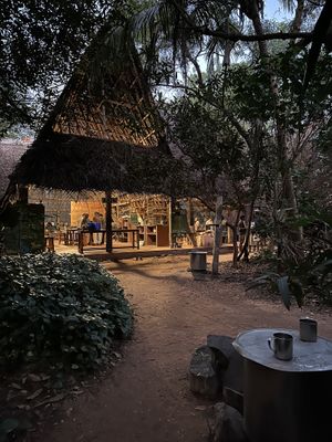  at Sadhana Forest Seva Kitchen in Auroville