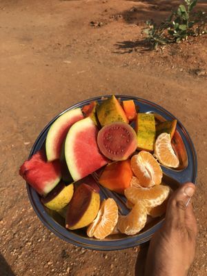 Fruits for breakfast   at Sadhana Forest Seva Kitchen in Auroville
