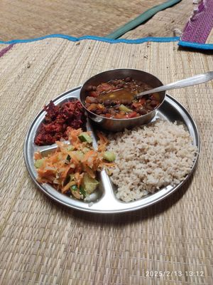  at Sadhana Forest Seva Kitchen in Auroville