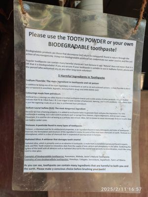  at Sadhana Forest Seva Kitchen in Auroville