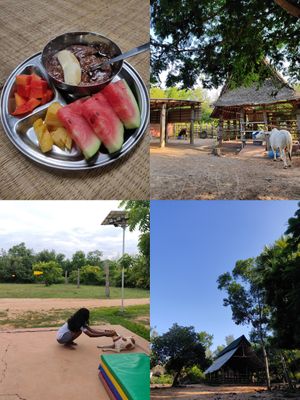  at Sadhana Forest Seva Kitchen in Auroville