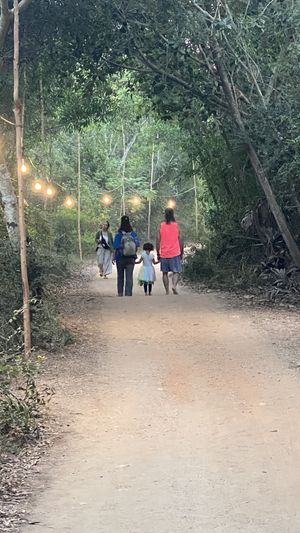 Sadhana Forest, running 100% on solar ☀️   at Sadhana Forest Seva Kitchen in Auroville
