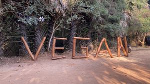 100% vegan  at Sadhana Forest Seva Kitchen in Auroville