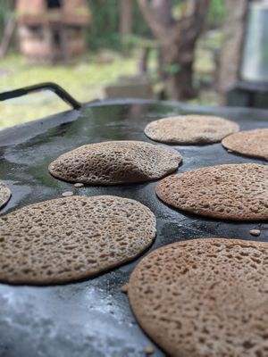 Dosa at Sadhana Forest Seva Kitchen in Auroville