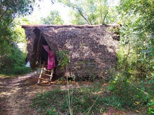 My little place in the forest at Sadhana Forest Seva Kitchen in Auroville
