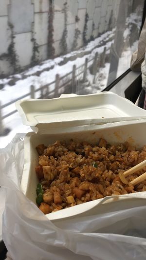 Spicy veg fried rice (the meal the night before was so good we came and got take away lunch for the train ride)  at Heianraku in Takayama