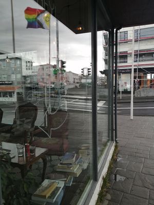 It's a gender neutral space at Valkyrjan Bistro & Bar in Reykjavik