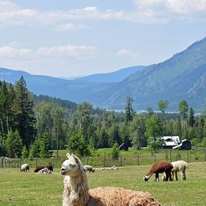  at Piece of Heaven Project in Burton