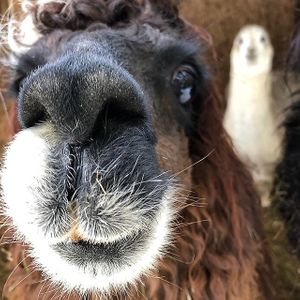  at Piece of Heaven Project in Burton