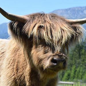  at Piece of Heaven Project in Burton