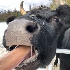  at Piece of Heaven Project in Burton