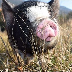  at Piece of Heaven Project in Burton