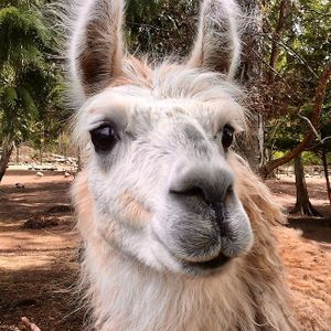  at Piece of Heaven Project in Burton