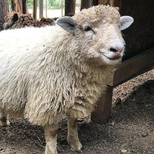  at Piece of Heaven Project in Burton