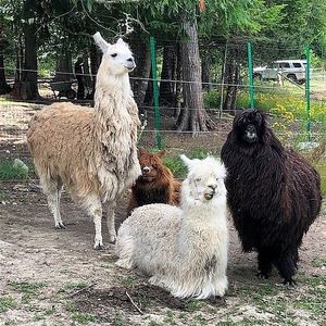  at Piece of Heaven Project in Burton