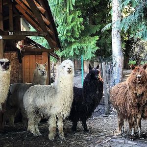  at Piece of Heaven Project in Burton