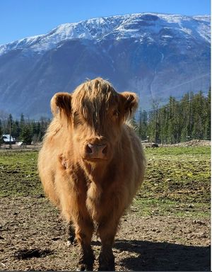  at Piece of Heaven Project in Burton