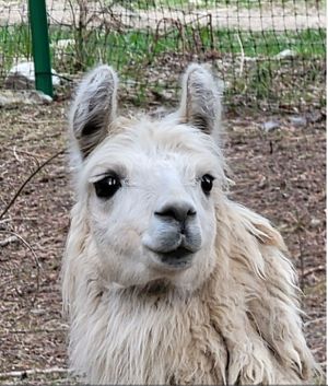  at Piece of Heaven Project in Burton