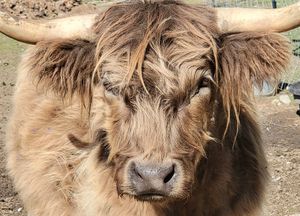  at Piece of Heaven Project in Burton