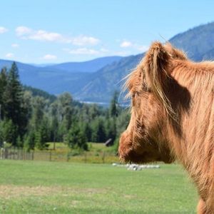  at Piece of Heaven Project in Burton