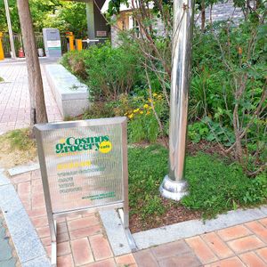  at Cosmos Grocery Cafe in Seoul