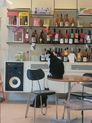  at Cosmos Grocery Cafe in Seoul