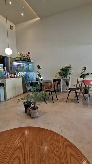  at Cosmos Grocery Cafe in Seoul