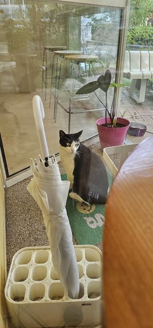   at Cosmos Grocery Cafe in Seoul